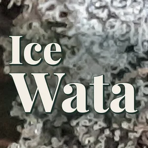 Ice Wata Cannabis Strain