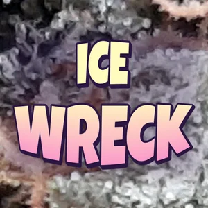 Ice Wreck Cannabis Strain