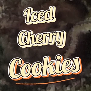 Iced Cherry Cookies Cannabis Strain