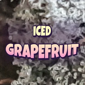 Iced Grapefruit Cannabis Strain