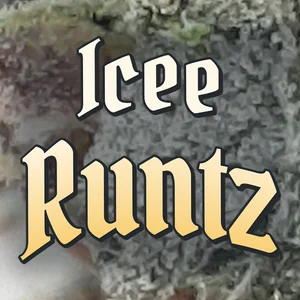 Icee Runtz Cannabis Strain