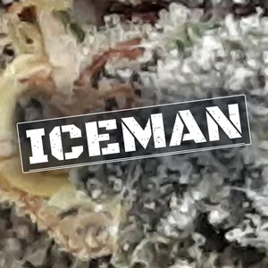 Iceman Cannabis Strain