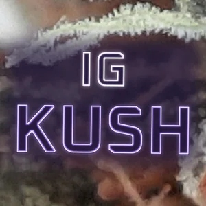 IG Kush Cannabis Strain