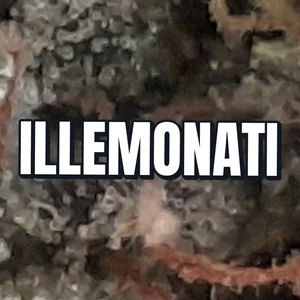 Illemonati Cannabis Strain