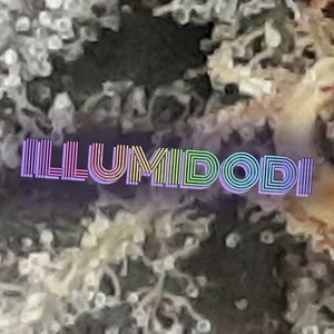 Illumidodi Cannabis Strain