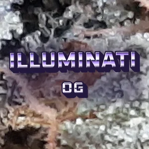 Illuminati OG Cannabis Strain