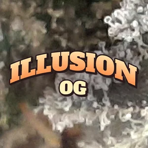 Illusion OG Cannabis Strain