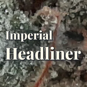 Imperial Headliner Cannabis Strain