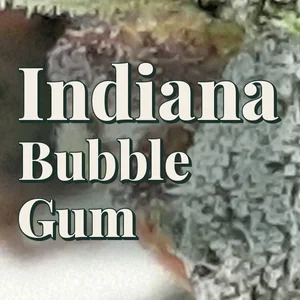 Indiana Bubble Gum Cannabis Strain