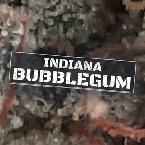 Indiana Bubblegum Cannabis Strain