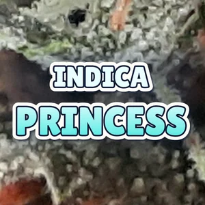 Indica Princess Cannabis Strain