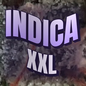 Indica XXL Cannabis Strain