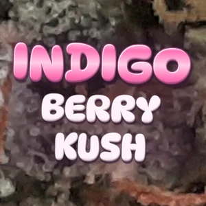 Indigo Berry Kush Cannabis Strain