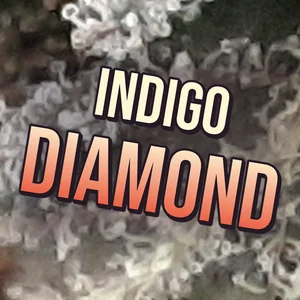 Indigo Diamond Cannabis Strain