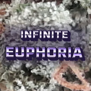 Infinite Euphoria Cannabis Strain