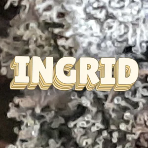 Ingrid Cannabis Strain