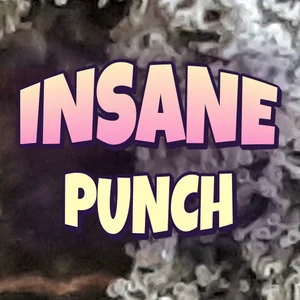 Insane Punch Cannabis Strain