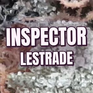 Inspector Lestrade Cannabis Strain
