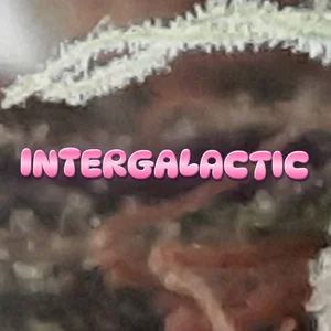 Intergalactic Cannabis Strain