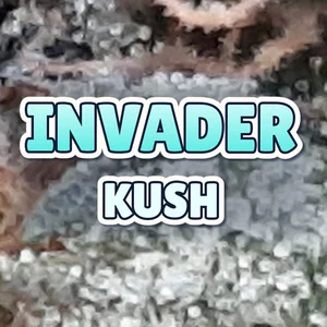 Invader Kush Cannabis Strain