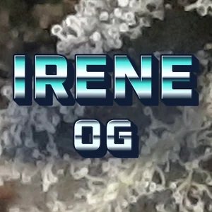 Irene OG Cannabis Strain