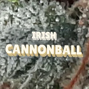 Irish Cannonball Cannabis Strain