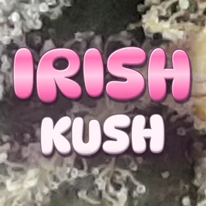 Irish Kush Cannabis Strain