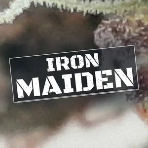 Iron Maiden Cannabis Strain
