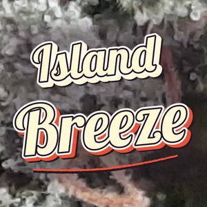 Island Breeze Cannabis Strain