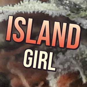 Island Girl Cannabis Strain