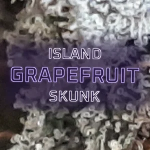 Island Grapefruit Skunk Cannabis Strain