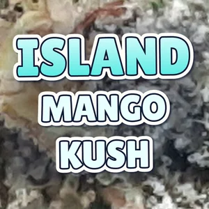 Island Mango Kush Cannabis Strain