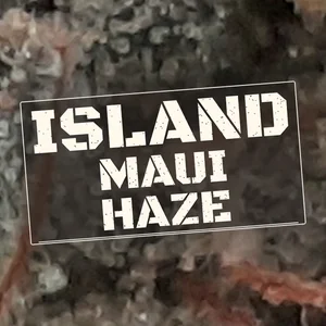 Island Maui Haze Cannabis Strain