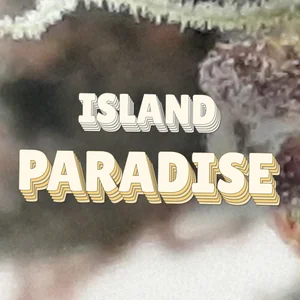 Island Paradise Cannabis Strain