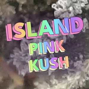 Island Pink Kush Cannabis Strain