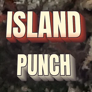 Island Punch Cannabis Strain