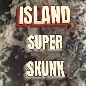 Island Super Skunk Cannabis Strain