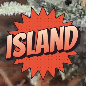 isLAnd Cannabis Strain