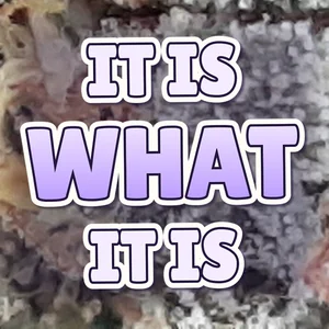 It Is What It Is Cannabis Strain