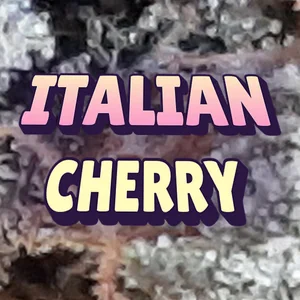 Italian Cherry Cannabis Strain
