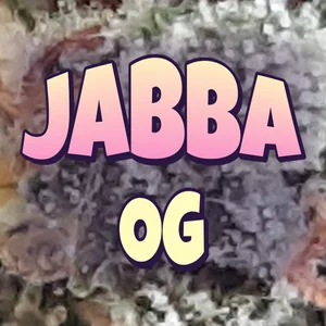 Jabba OG Cannabis Strain
