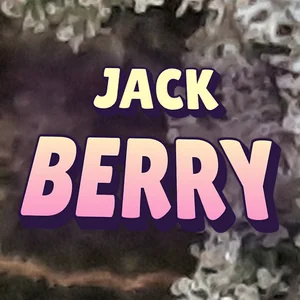 Jack Berry Cannabis Strain