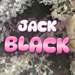 Jack Black Cannabis Strain