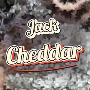 Jack Cheddar Cannabis Strain
