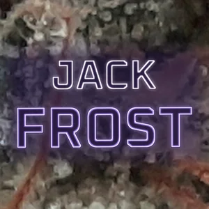Jack Frost Cannabis Strain