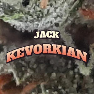 Jack Kevorkian Cannabis Strain