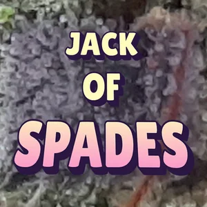 Jack of Spades Cannabis Strain