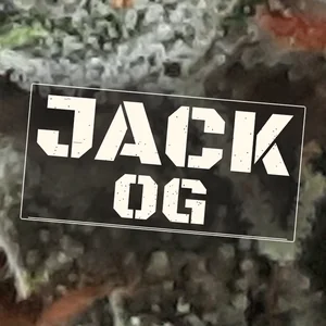 Jack OG Cannabis Strain