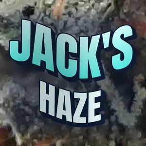 Jack's Haze Cannabis Strain