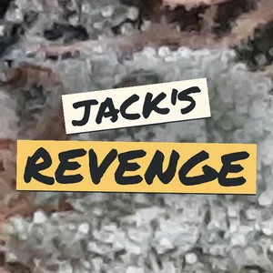 Jack's Revenge Cannabis Strain